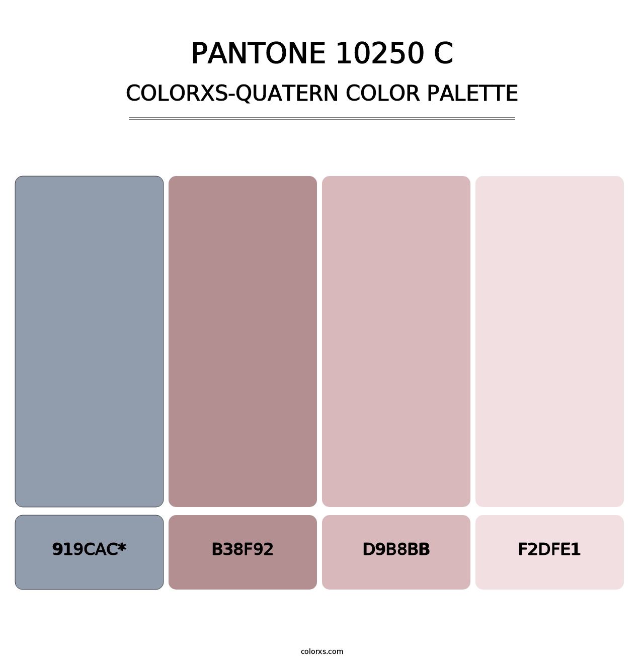PANTONE 10250 C - Colorxs Quatern Palette