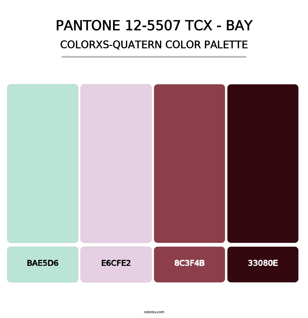 PANTONE 12-5507 TCX - Bay - Colorxs Quatern Palette