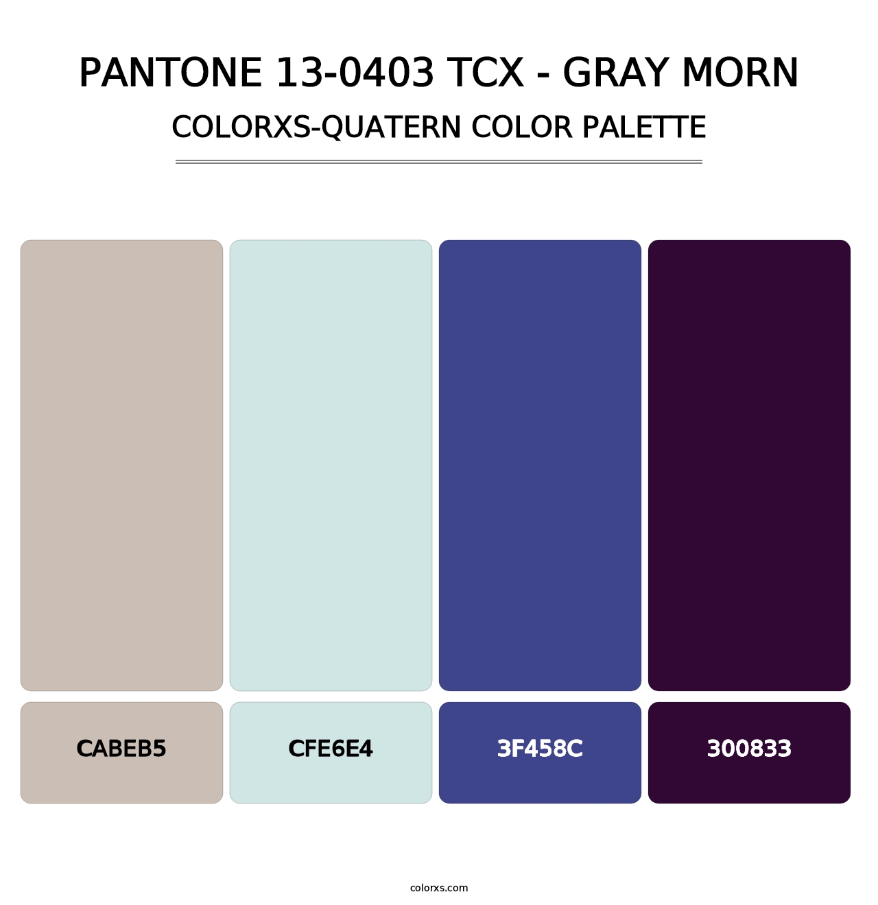 PANTONE 13-0403 TCX - Gray Morn - Colorxs Quatern Palette