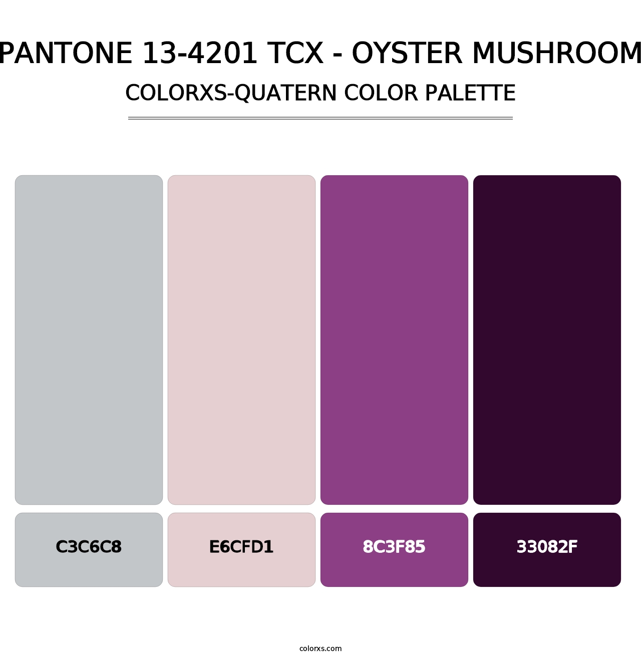 PANTONE 13-4201 TCX - Oyster Mushroom - Colorxs Quatern Palette