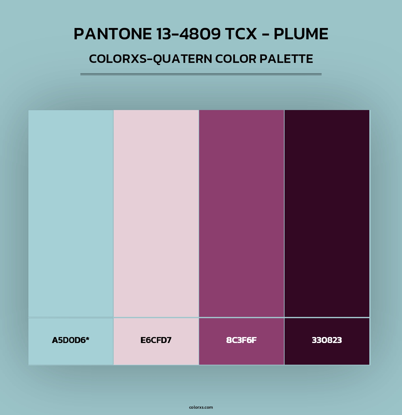 PANTONE 13-4809 TCX - Plume - Colorxs Quad Palette