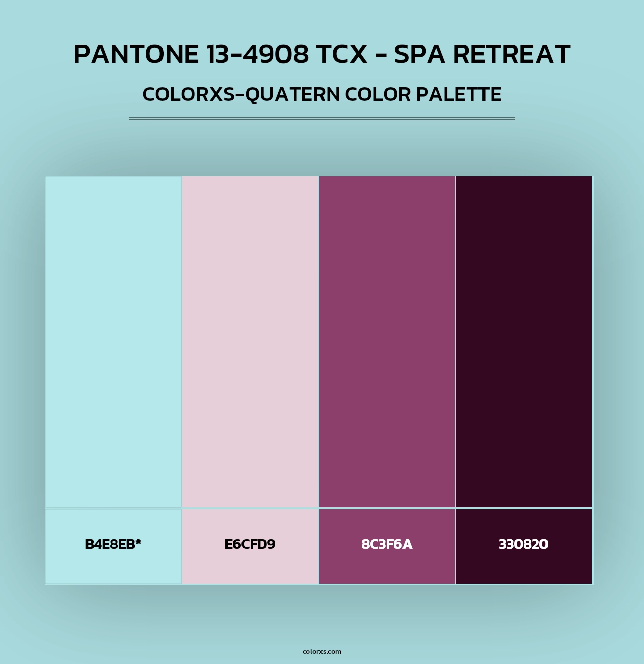 PANTONE 13-4908 TCX - Spa Retreat - Colorxs Quad Palette