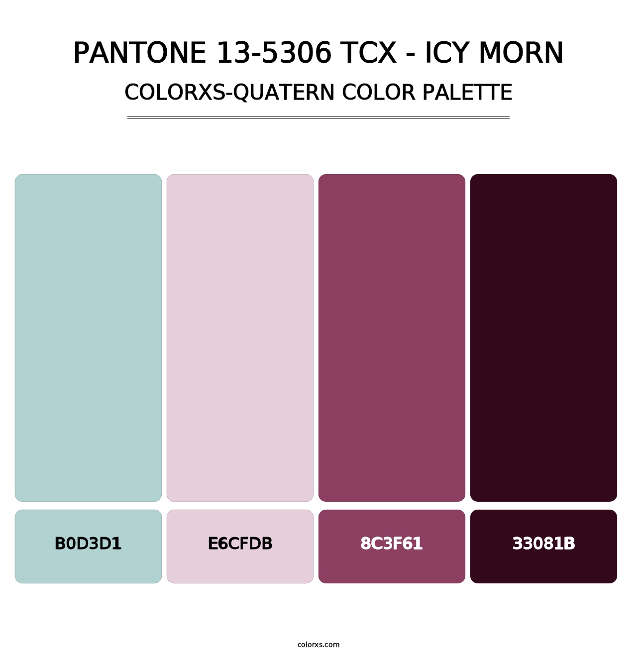 PANTONE 13-5306 TCX - Icy Morn - Colorxs Quatern Palette