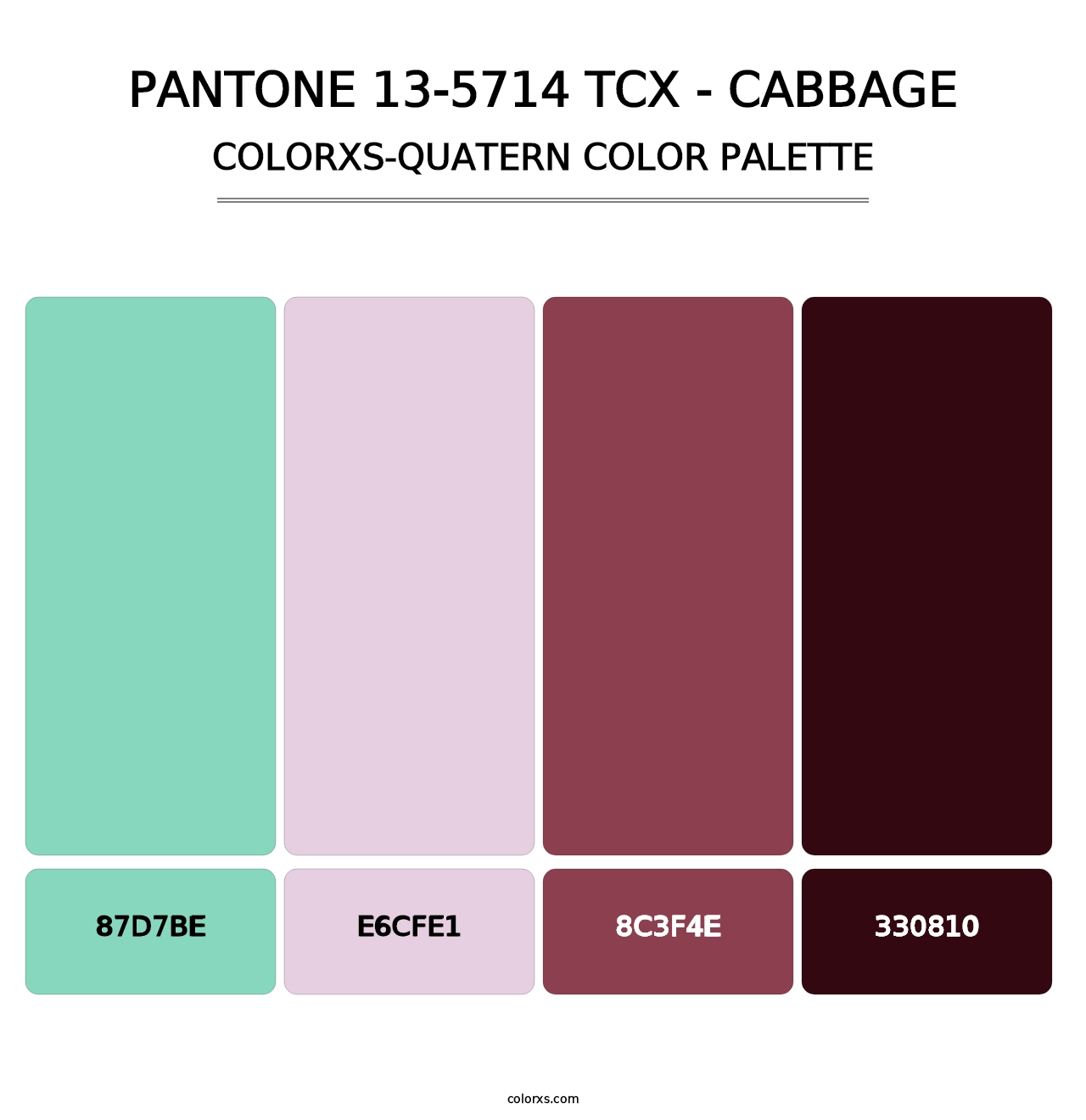 PANTONE 13-5714 TCX - Cabbage - Colorxs Quatern Palette