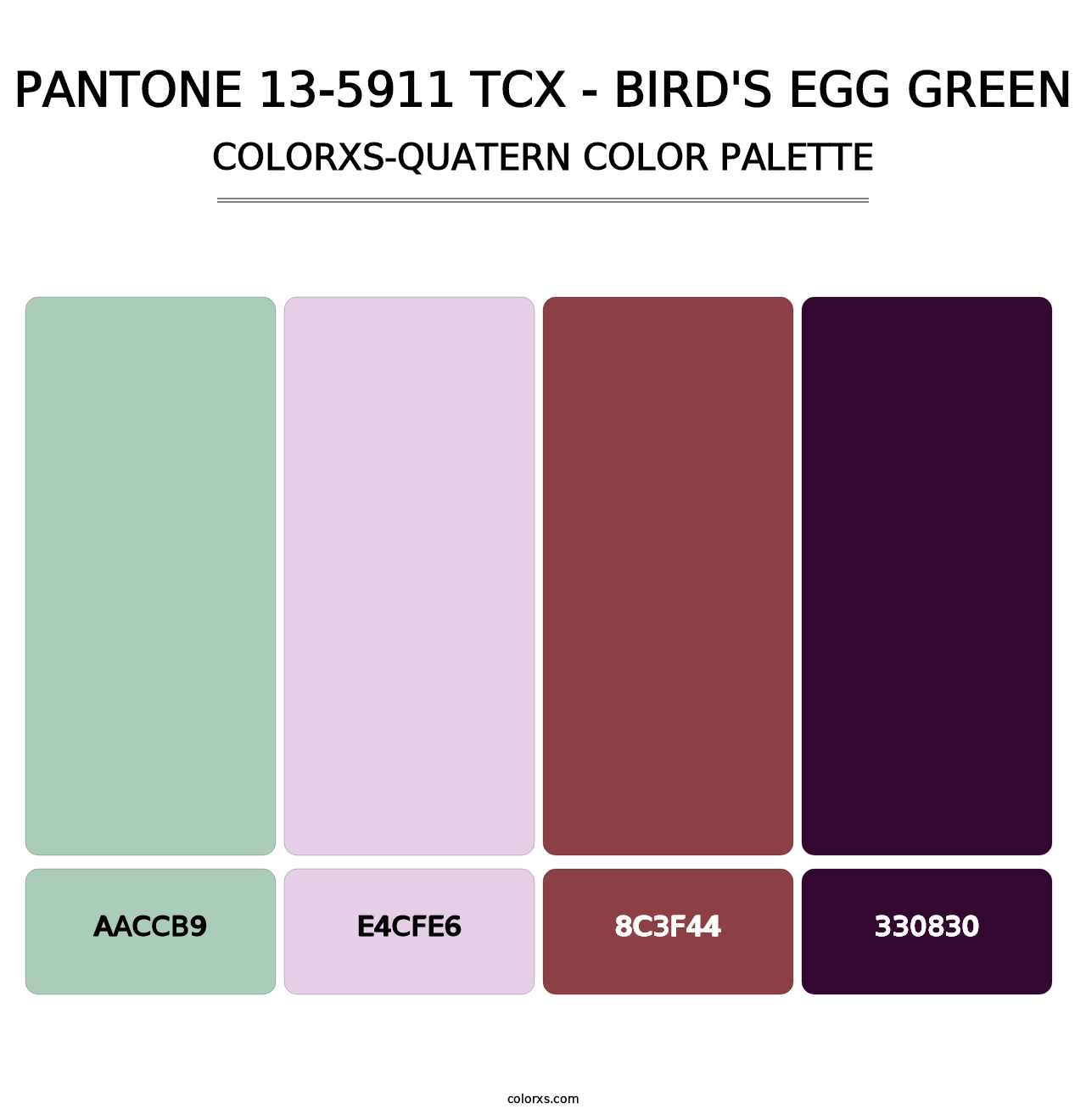 PANTONE 13-5911 TCX - Bird's Egg Green - Colorxs Quatern Palette
