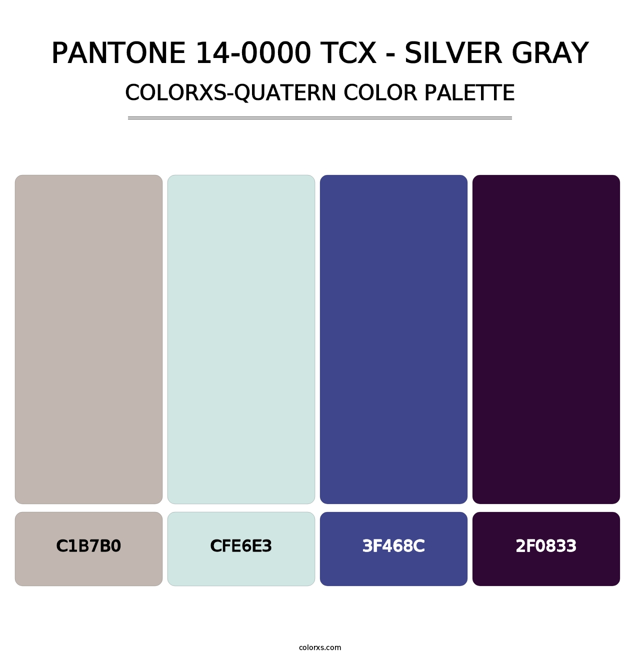 PANTONE 14-0000 TCX - Silver Gray - Colorxs Quatern Palette