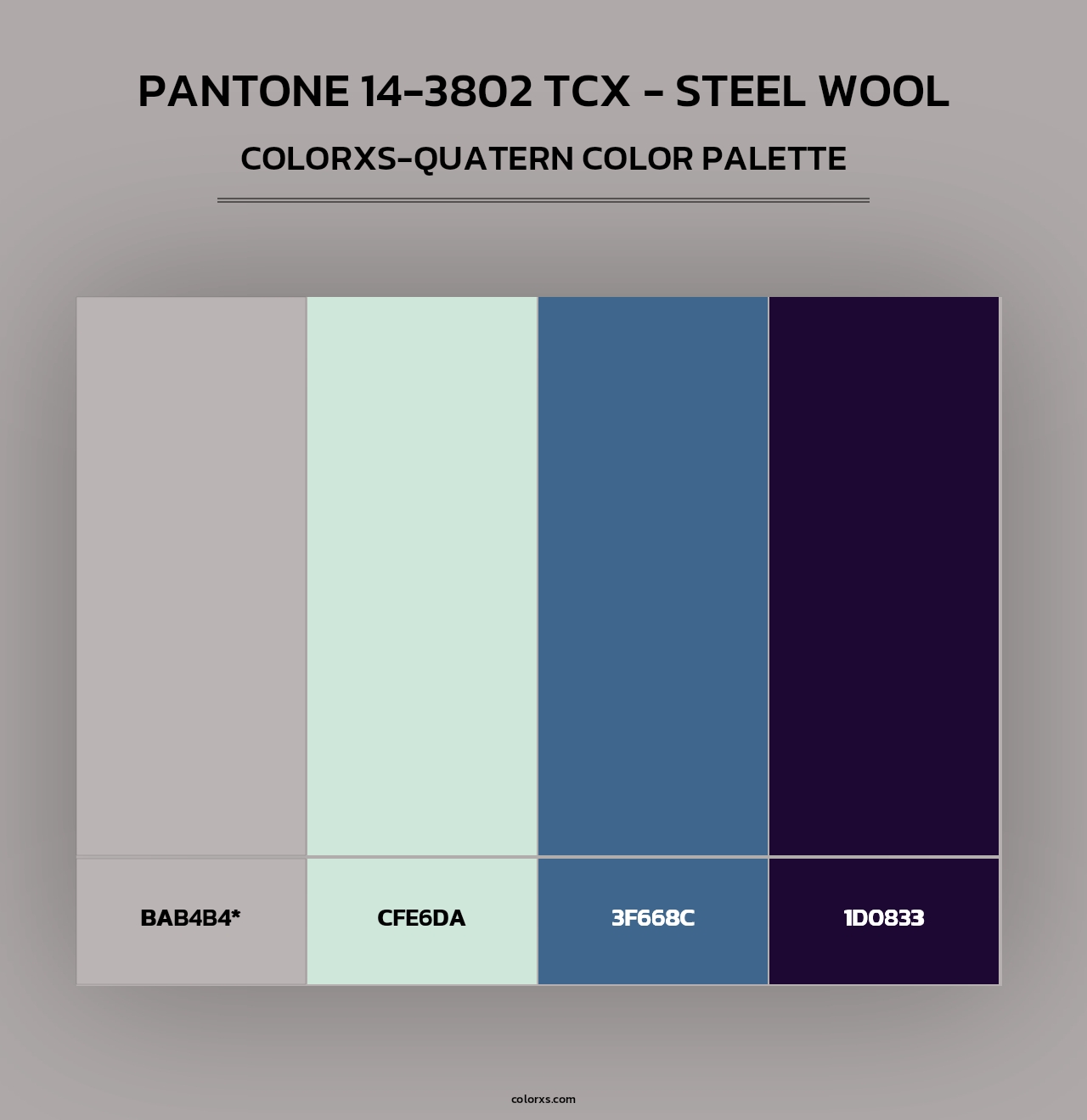 PANTONE 14-3802 TCX - Steel Wool - Colorxs Quad Palette