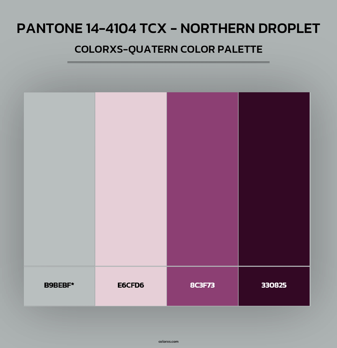 PANTONE 14-4104 TCX - Northern Droplet - Colorxs Quad Palette