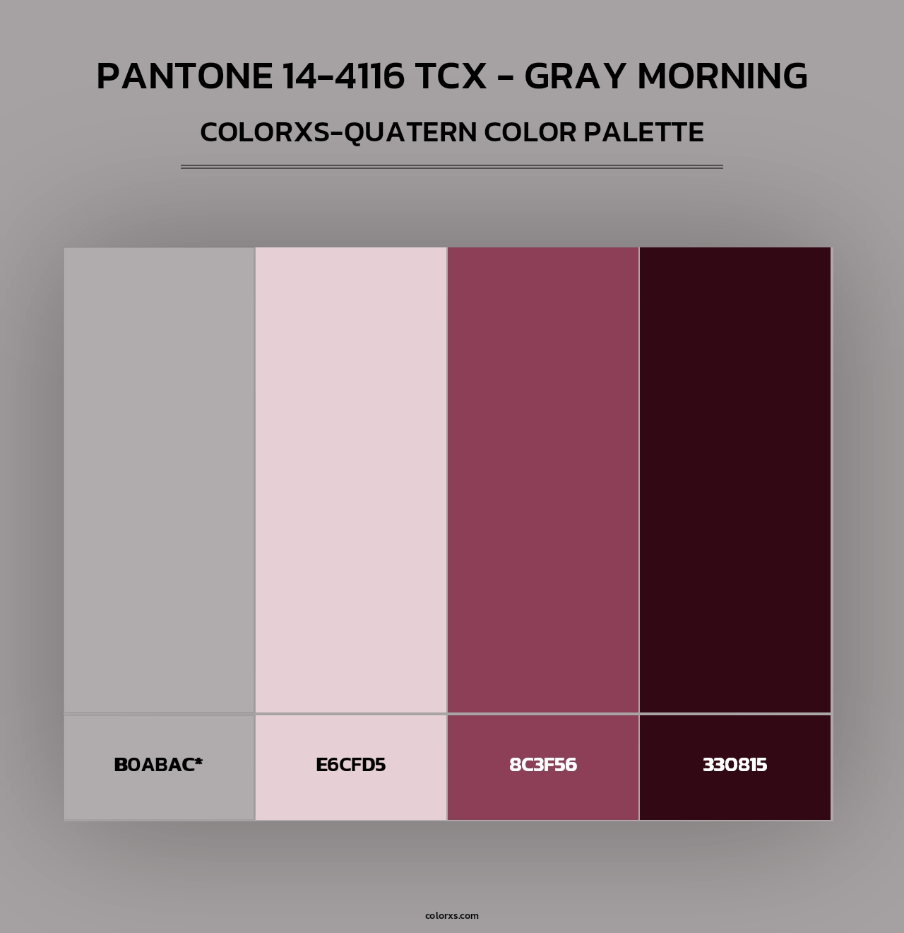 PANTONE 14-4116 TCX - Gray Morning - Colorxs Quad Palette