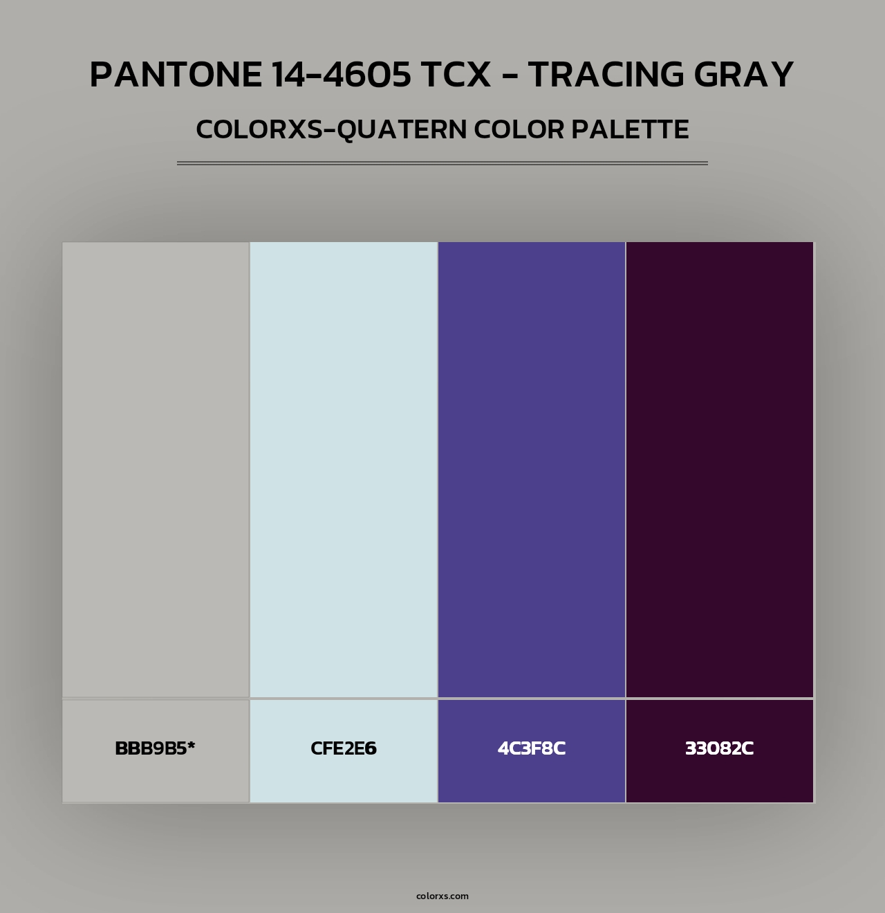 PANTONE 14-4605 TCX - Tracing Gray - Colorxs Quad Palette