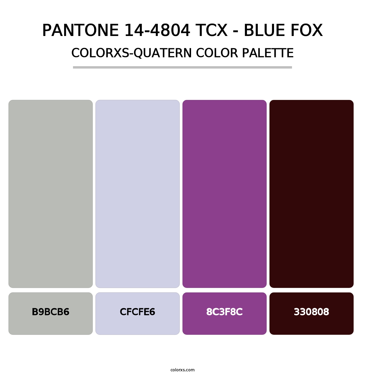 PANTONE 14-4804 TCX - Blue Fox - Colorxs Quatern Palette