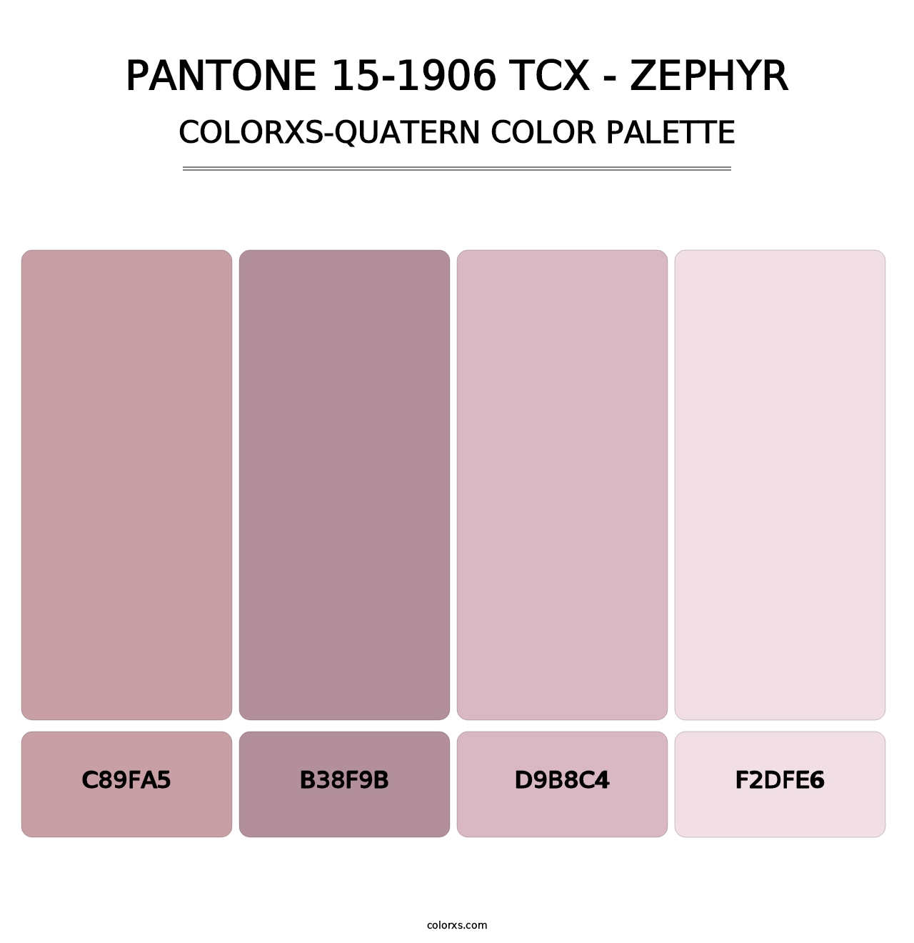 PANTONE 15-1906 TCX - Zephyr - Colorxs Quatern Palette