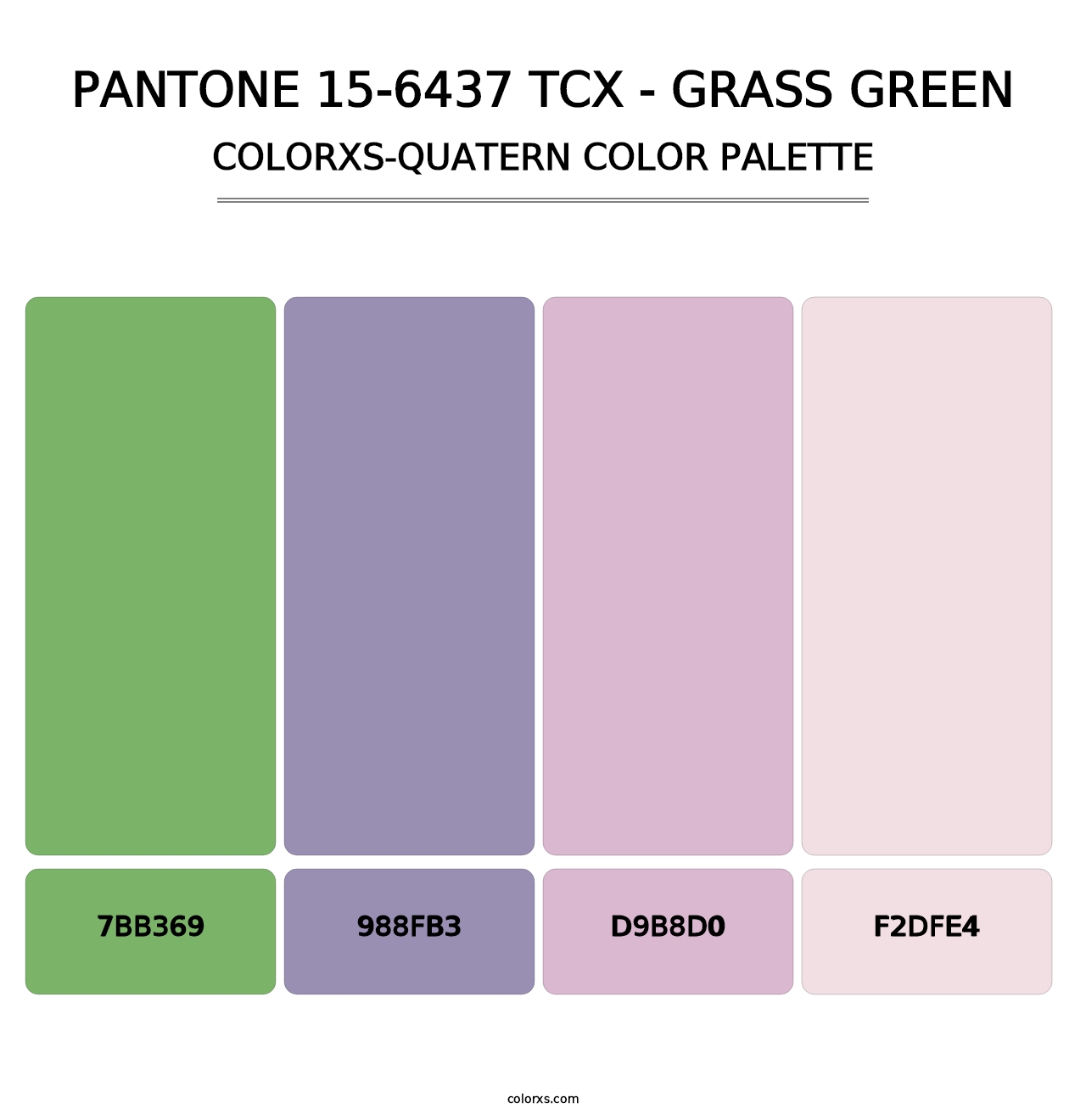 PANTONE 15-6437 TCX - Grass Green - Colorxs Quatern Palette