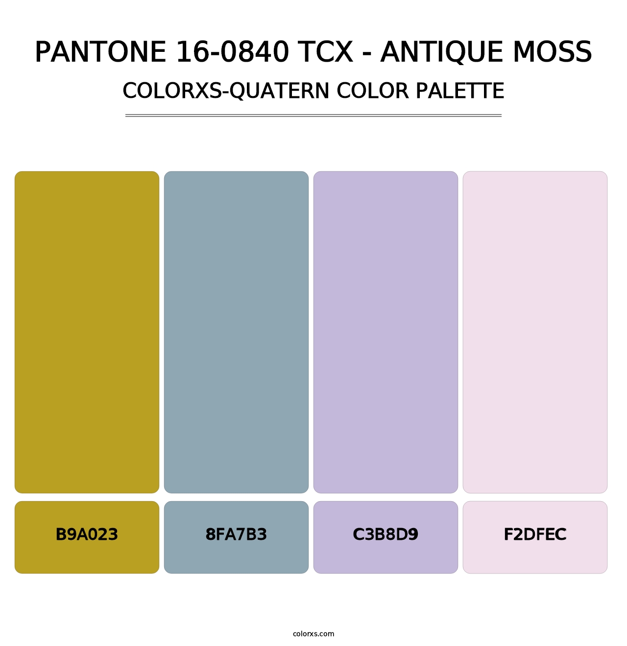 PANTONE 16-0840 TCX - Antique Moss - Colorxs Quatern Palette