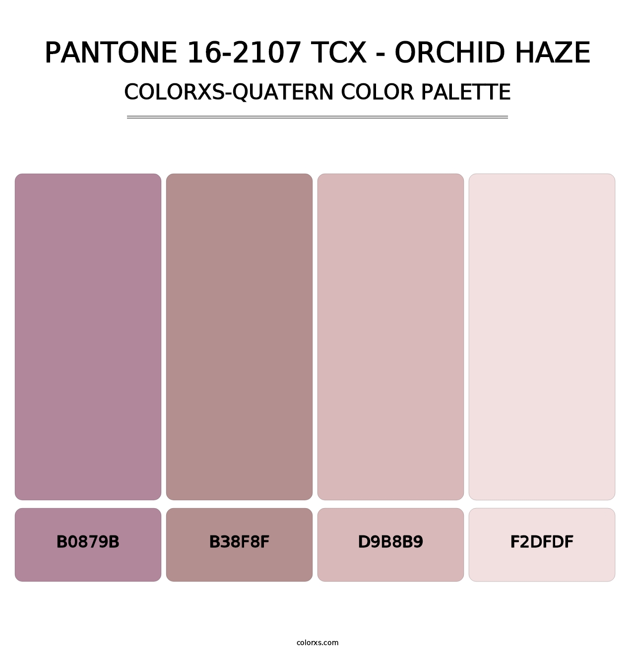 PANTONE 16-2107 TCX - Orchid Haze - Colorxs Quatern Palette