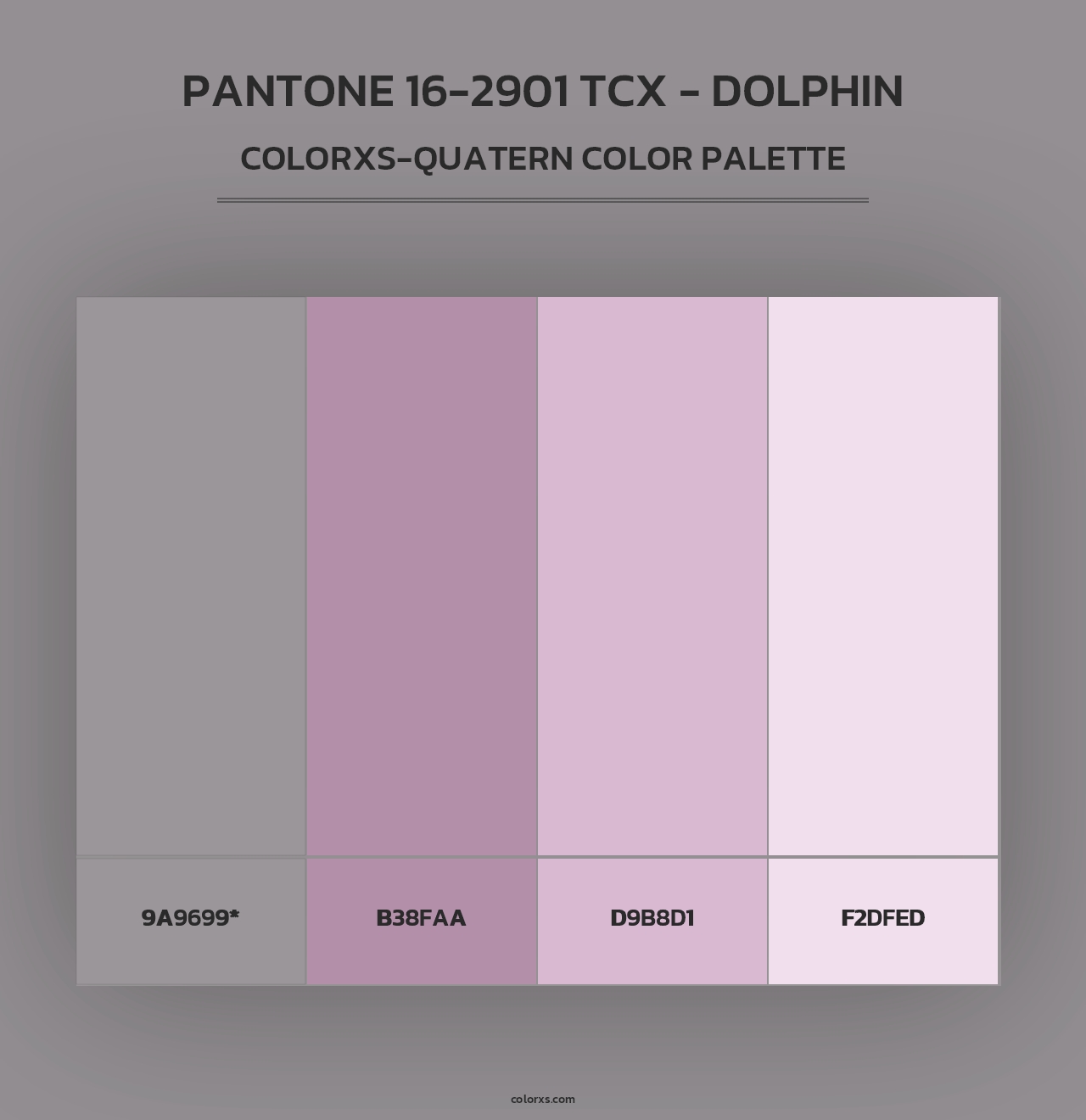 PANTONE 16-2901 TCX - Dolphin - Colorxs Quad Palette