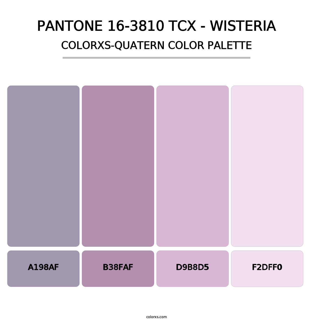 PANTONE 16-3810 TCX - Wisteria - Colorxs Quatern Palette