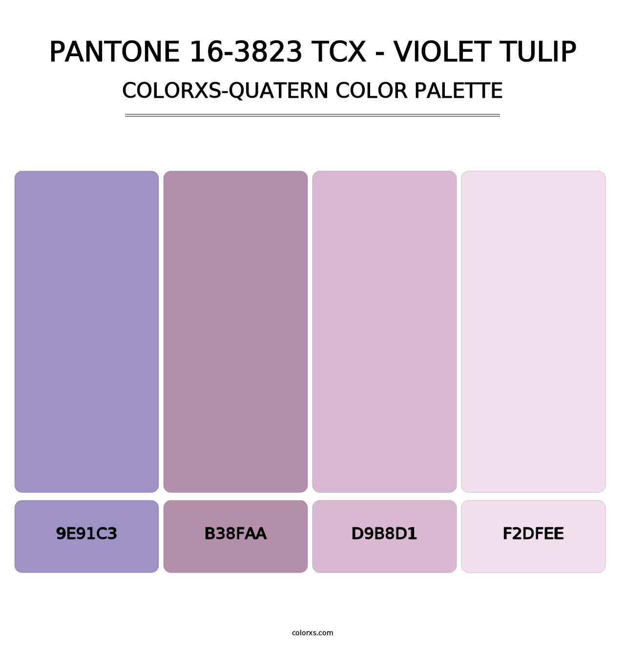 PANTONE 16-3823 TCX - Violet Tulip - Colorxs Quatern Palette
