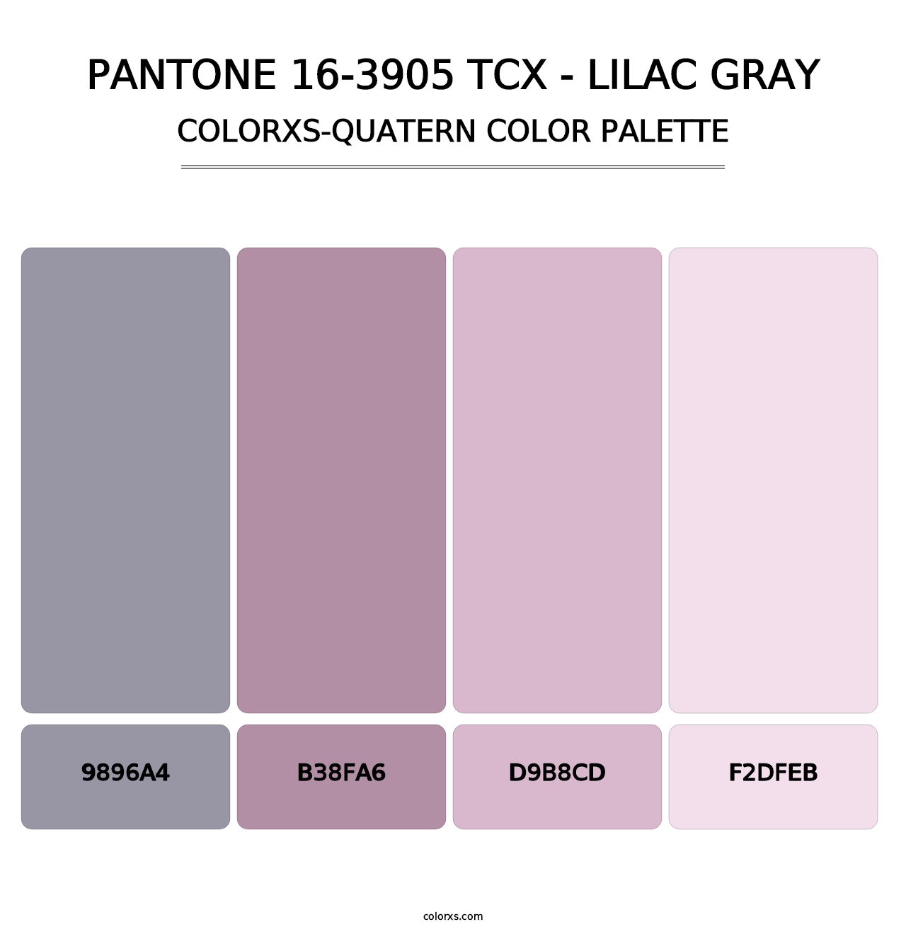 PANTONE 16-3905 TCX - Lilac Gray - Colorxs Quatern Palette