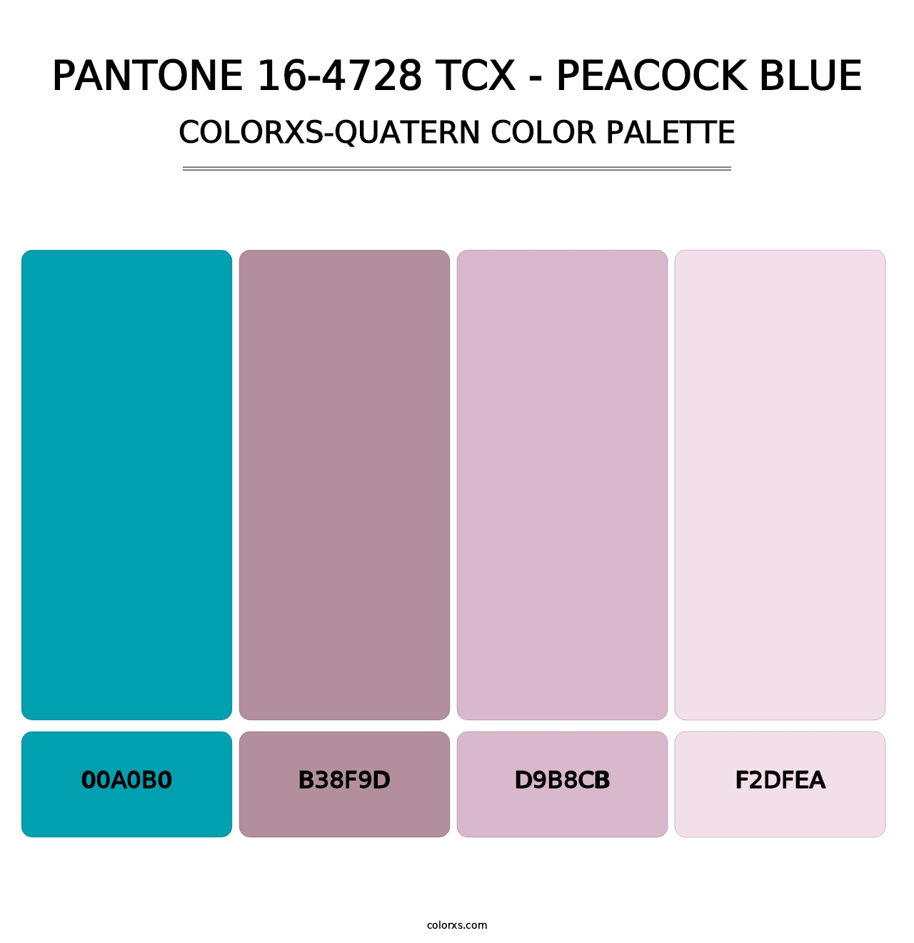 PANTONE 16-4728 TCX - Peacock Blue - Colorxs Quatern Palette