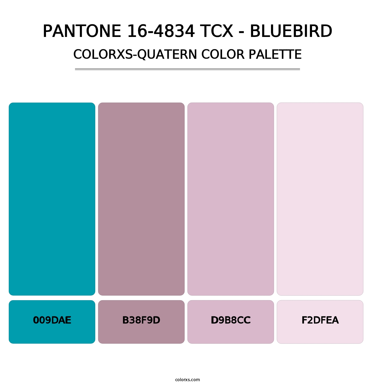 PANTONE 16-4834 TCX - Bluebird - Colorxs Quatern Palette