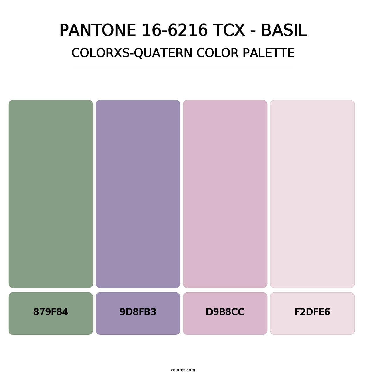 PANTONE 16-6216 TCX - Basil - Colorxs Quatern Palette