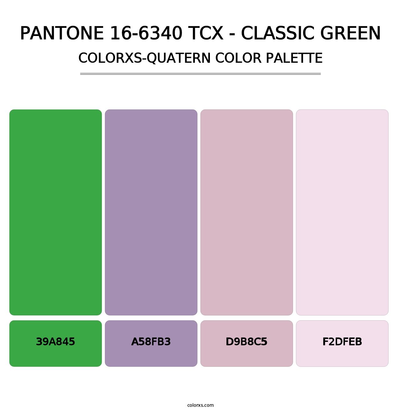 PANTONE 16-6340 TCX - Classic Green - Colorxs Quatern Palette
