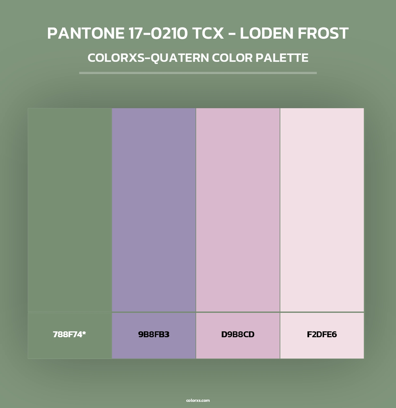 PANTONE 17-0210 TCX - Loden Frost - Colorxs Quad Palette