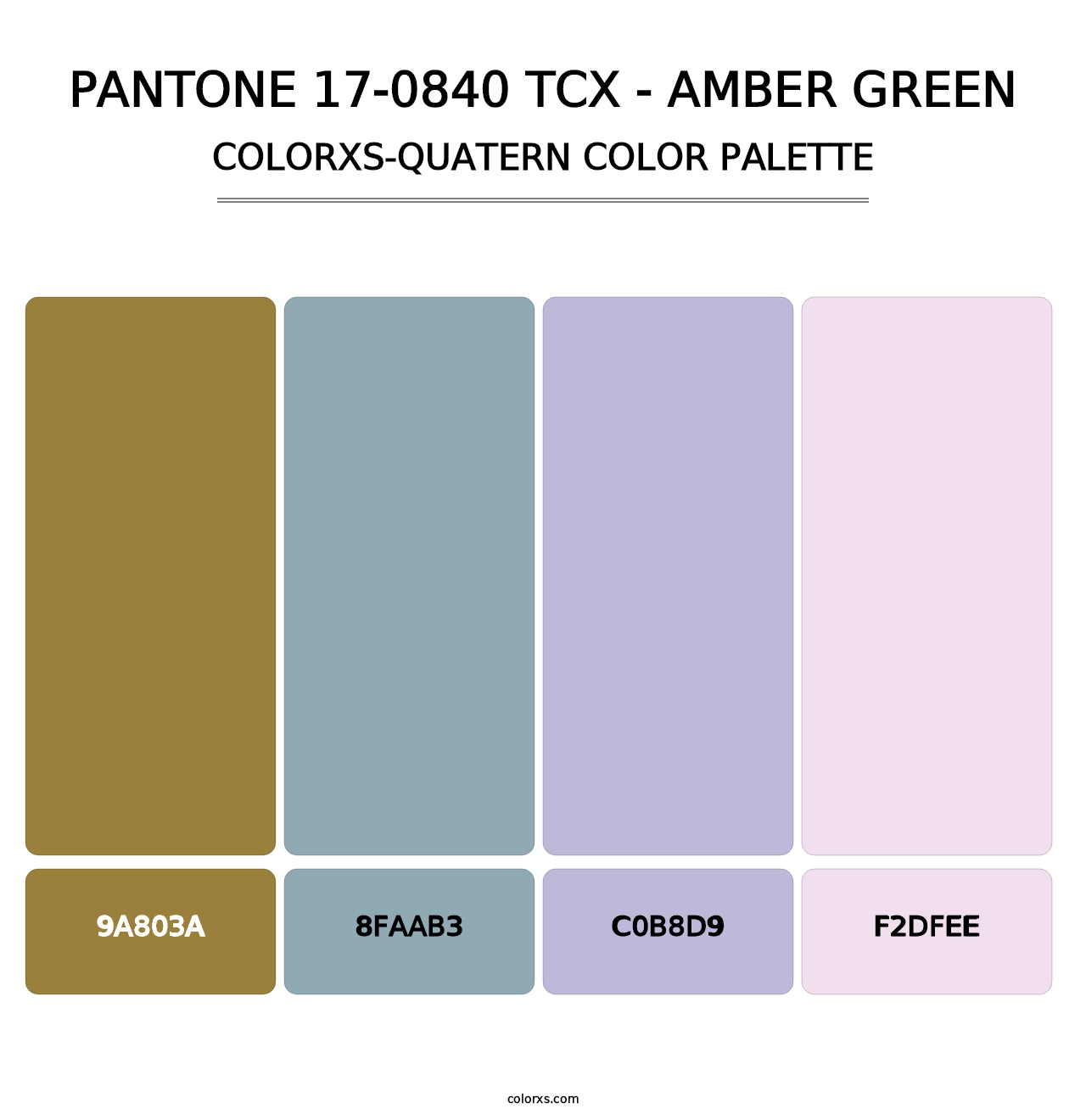 PANTONE 17-0840 TCX - Amber Green - Colorxs Quatern Palette