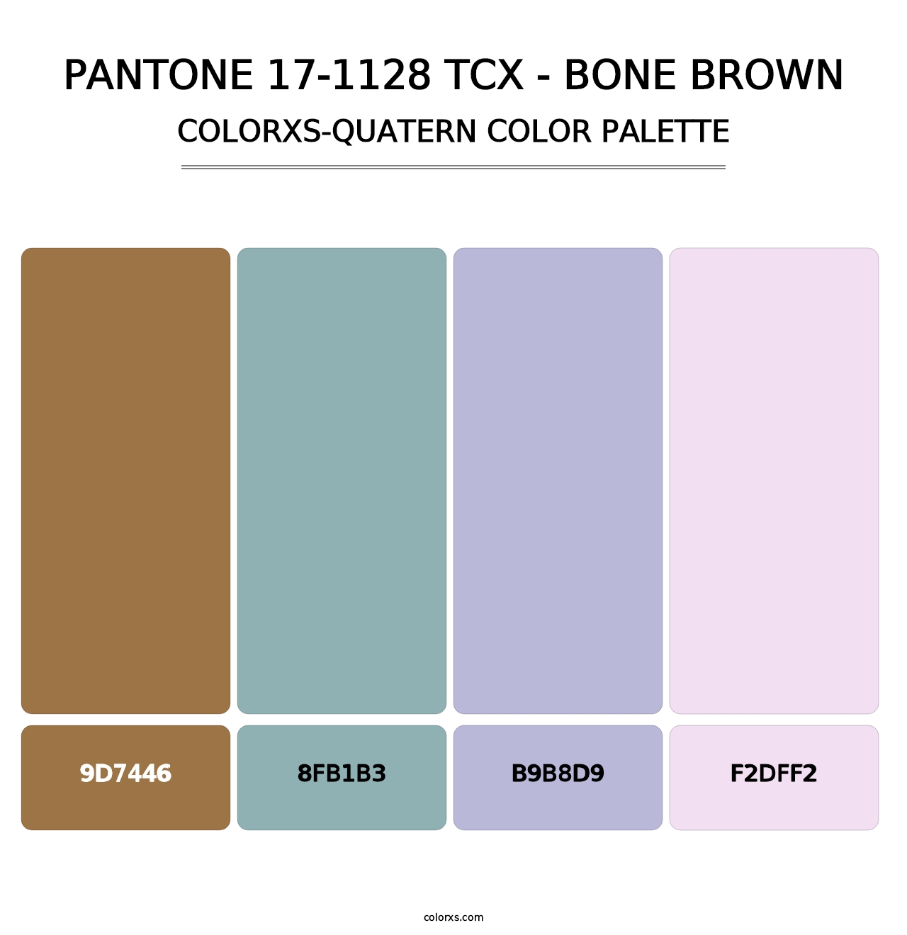 PANTONE 17-1128 TCX - Bone Brown - Colorxs Quatern Palette