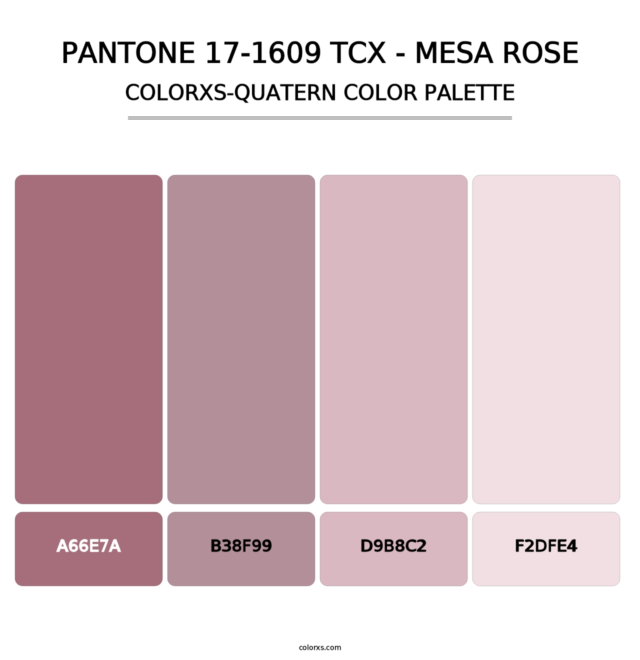 PANTONE 17-1609 TCX - Mesa Rose - Colorxs Quatern Palette