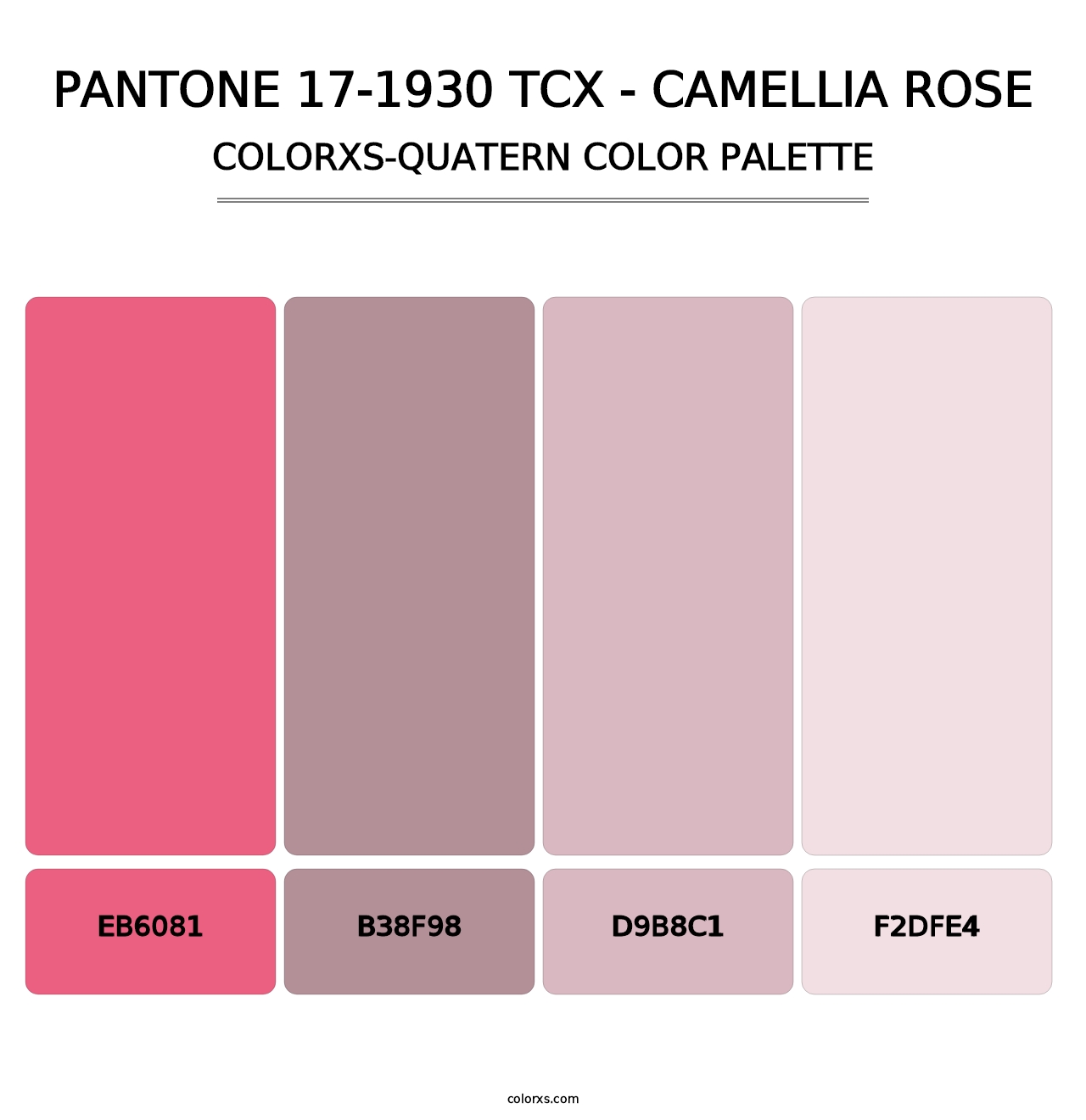 PANTONE 17-1930 TCX - Camellia Rose - Colorxs Quatern Palette