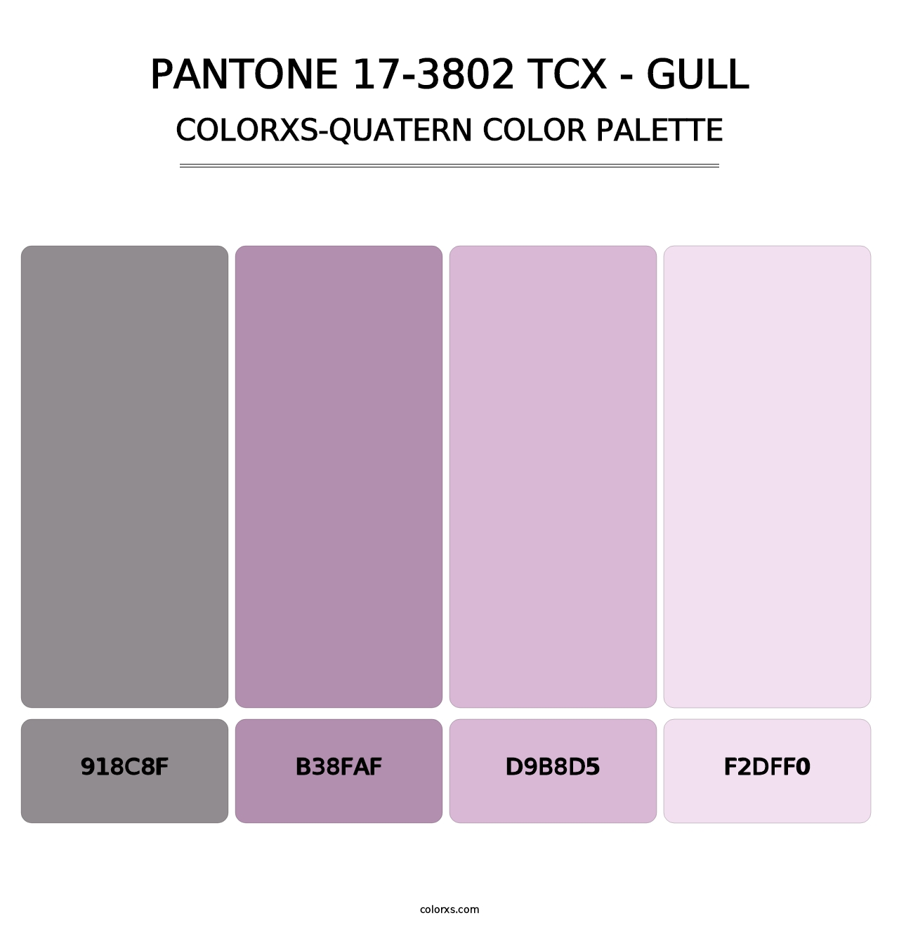 PANTONE 17-3802 TCX - Gull - Colorxs Quatern Palette