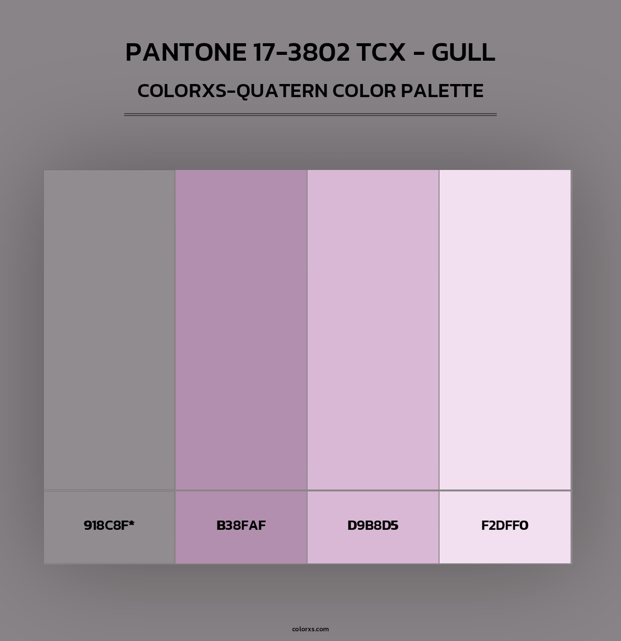PANTONE 17-3802 TCX - Gull - Colorxs Quad Palette