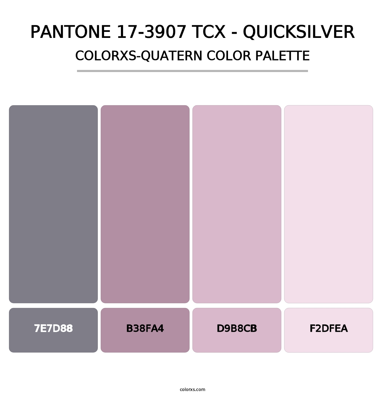 PANTONE 17-3907 TCX - Quicksilver - Colorxs Quatern Palette