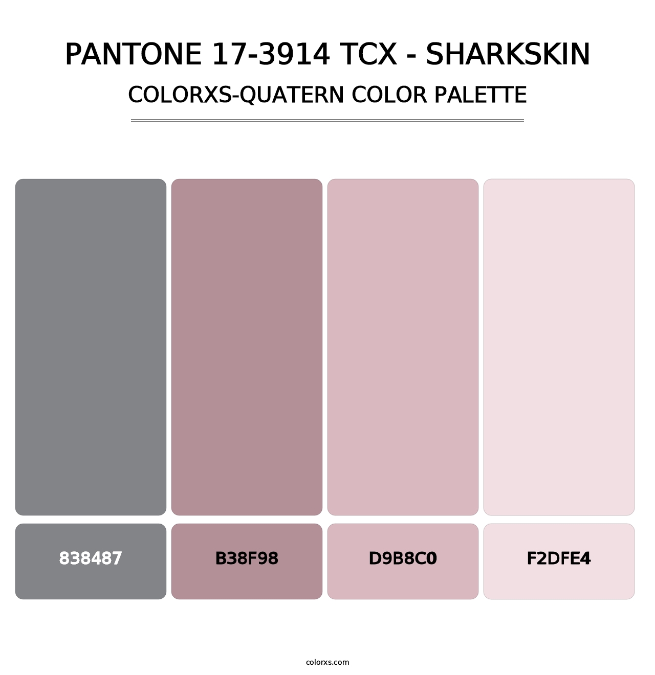 PANTONE 17-3914 TCX - Sharkskin - Colorxs Quatern Palette