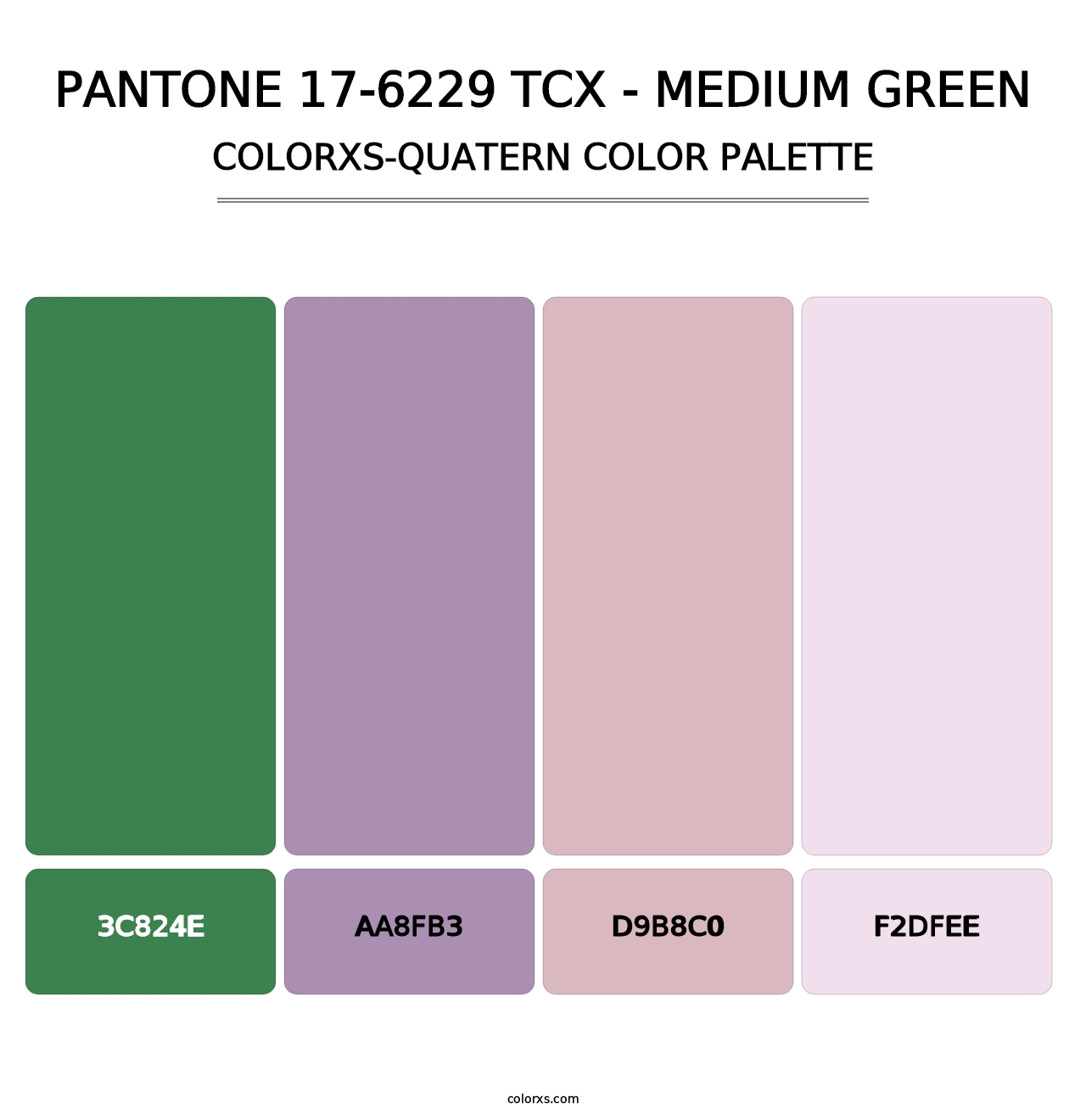 PANTONE 17-6229 TCX - Medium Green - Colorxs Quatern Palette