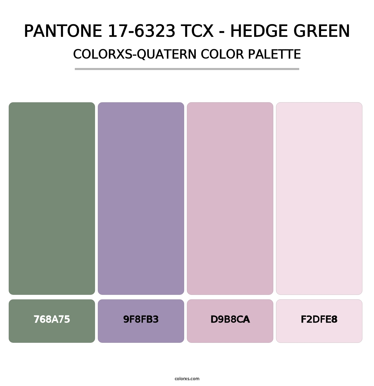 PANTONE 17-6323 TCX - Hedge Green - Colorxs Quatern Palette