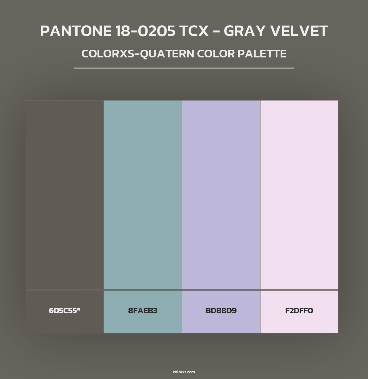PANTONE 18-0205 TCX - Gray Velvet - Colorxs Quad Palette