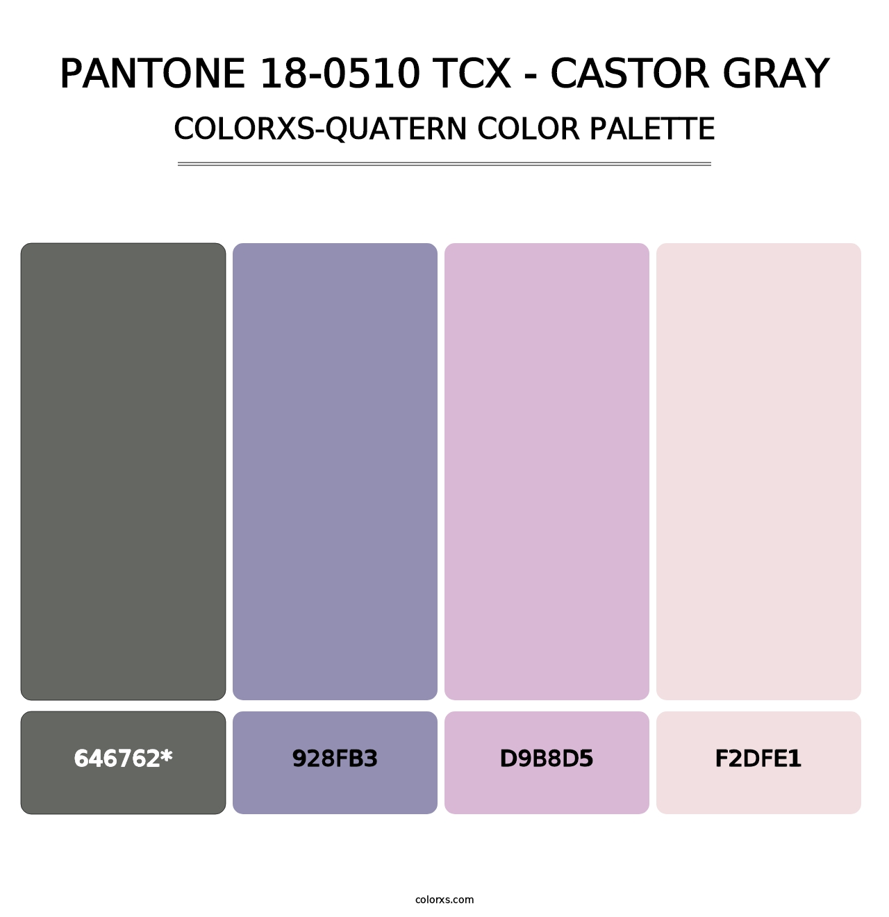 PANTONE 18-0510 TCX - Castor Gray - Colorxs Quatern Palette