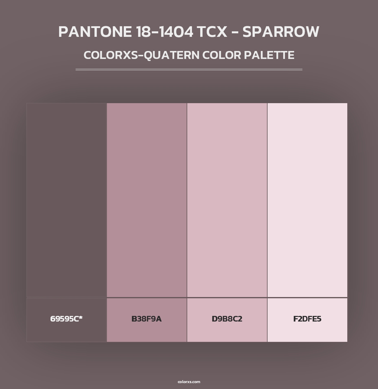 PANTONE 18-1404 TCX - Sparrow - Colorxs Quad Palette