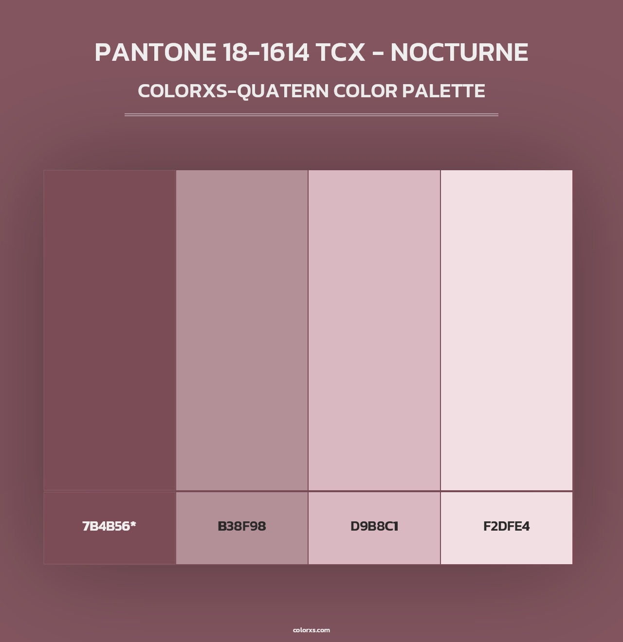 PANTONE 18-1614 TCX - Nocturne - Colorxs Quad Palette