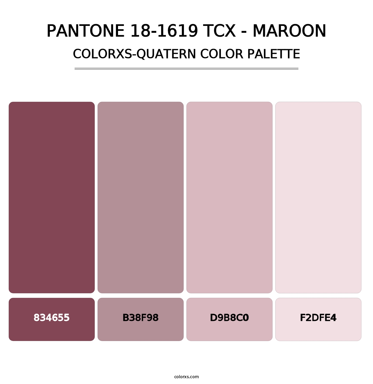 PANTONE 18-1619 TCX - Maroon - Colorxs Quatern Palette