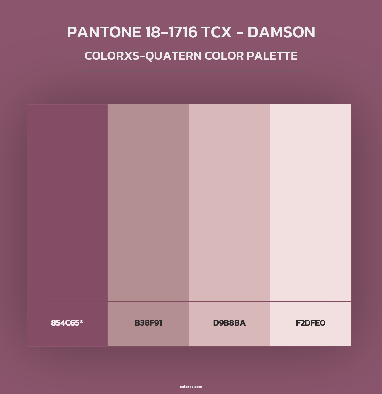 PANTONE 18-1716 TCX - Damson - Colorxs Quad Palette