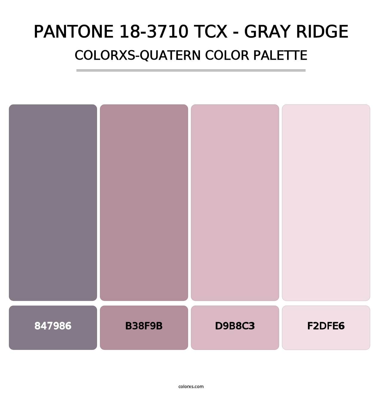 PANTONE 18-3710 TCX - Gray Ridge - Colorxs Quatern Palette