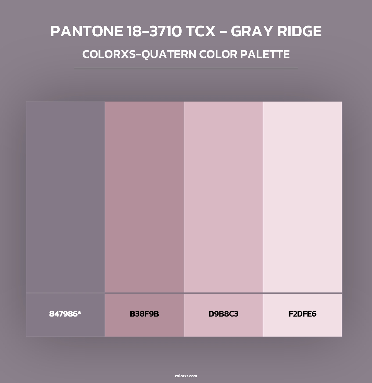 PANTONE 18-3710 TCX - Gray Ridge - Colorxs Quad Palette