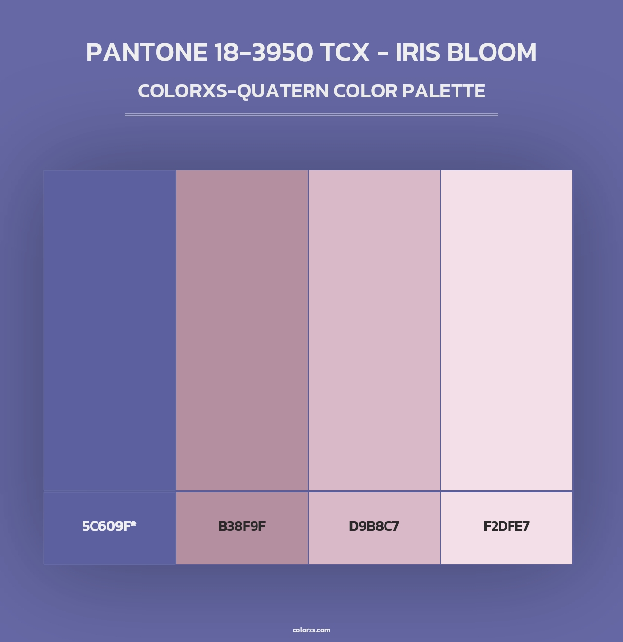 PANTONE 18-3950 TCX - Iris Bloom - Colorxs Quad Palette
