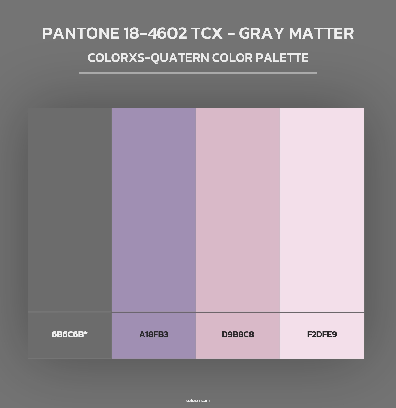 PANTONE 18-4602 TCX - Gray Matter - Colorxs Quad Palette