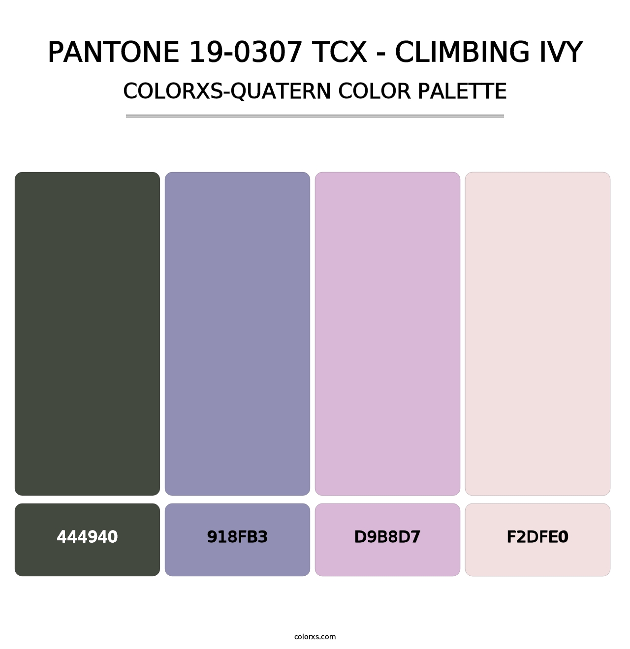 PANTONE 19-0307 TCX - Climbing Ivy - Colorxs Quatern Palette