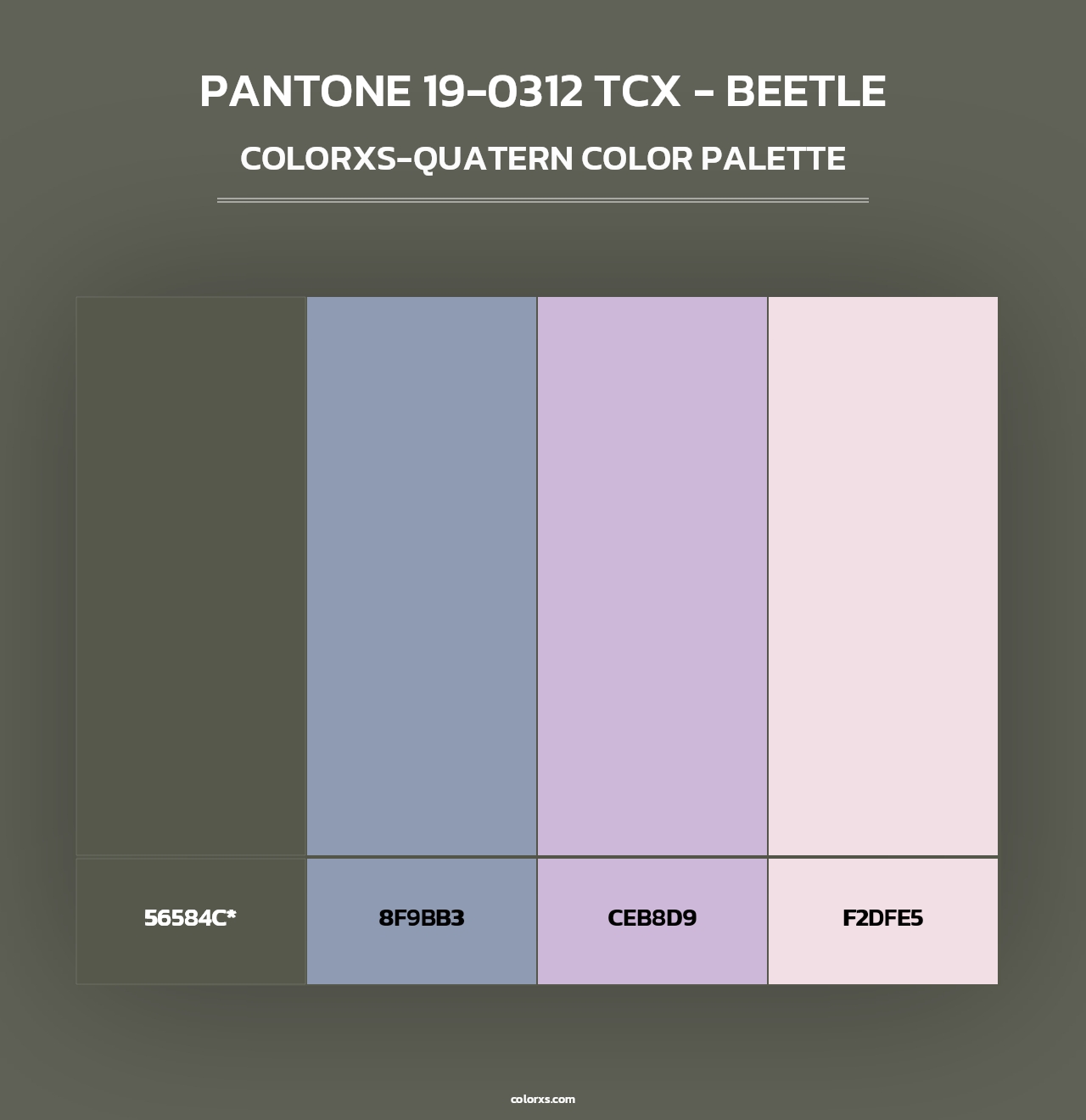 PANTONE 19-0312 TCX - Beetle - Colorxs Quad Palette